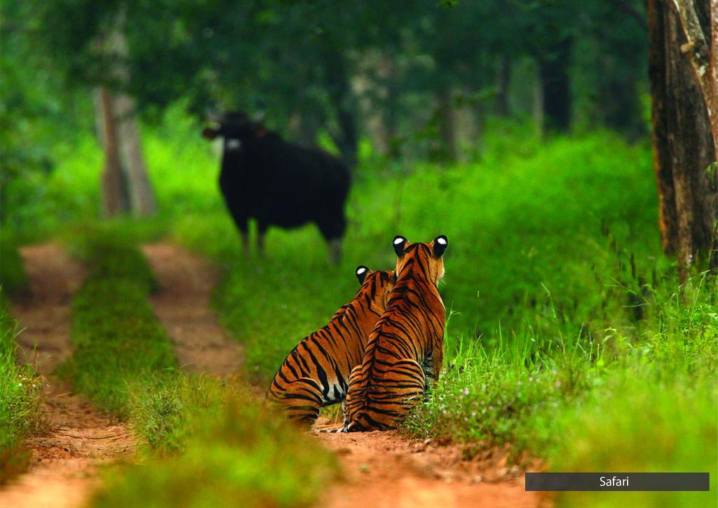 The Serai Bandipur Ngoại thất bức ảnh